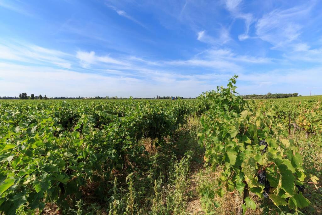 Les Gites De Grand Pere Jules Violes ภายนอก รูปภาพ