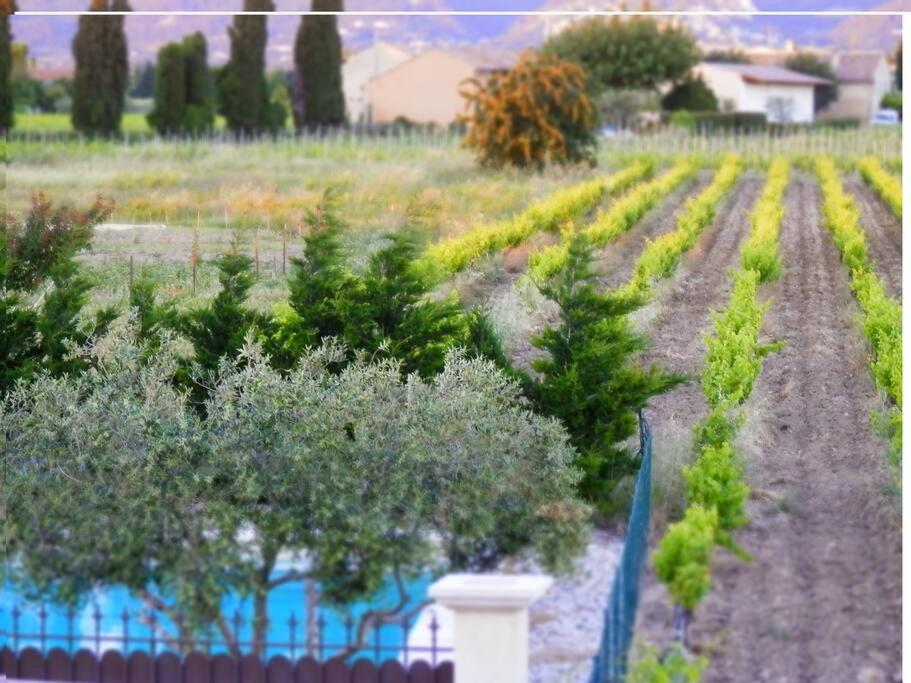 Les Gites De Grand Pere Jules Violes ภายนอก รูปภาพ