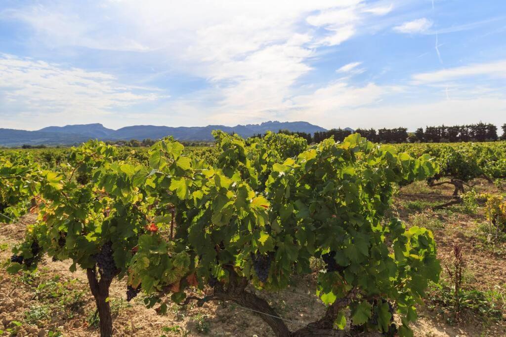 Les Gites De Grand Pere Jules Violes ภายนอก รูปภาพ