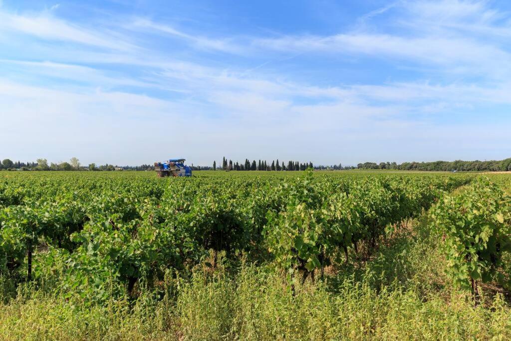 Les Gites De Grand Pere Jules Violes ภายนอก รูปภาพ