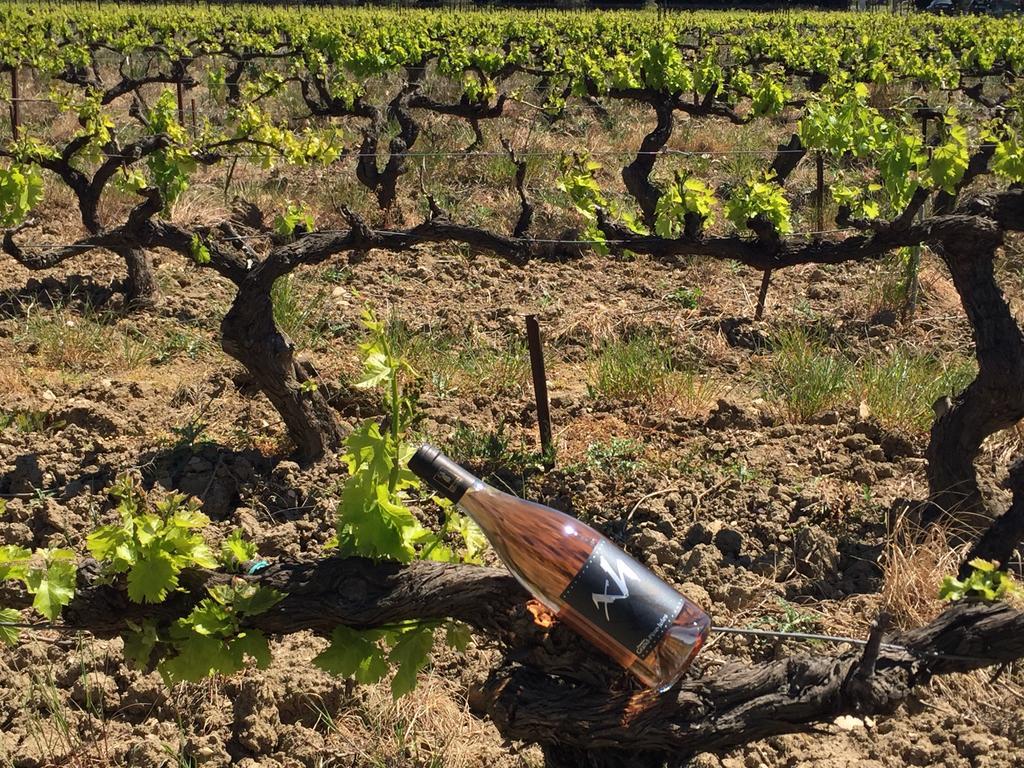 Les Gites De Grand Pere Jules Violes ภายนอก รูปภาพ